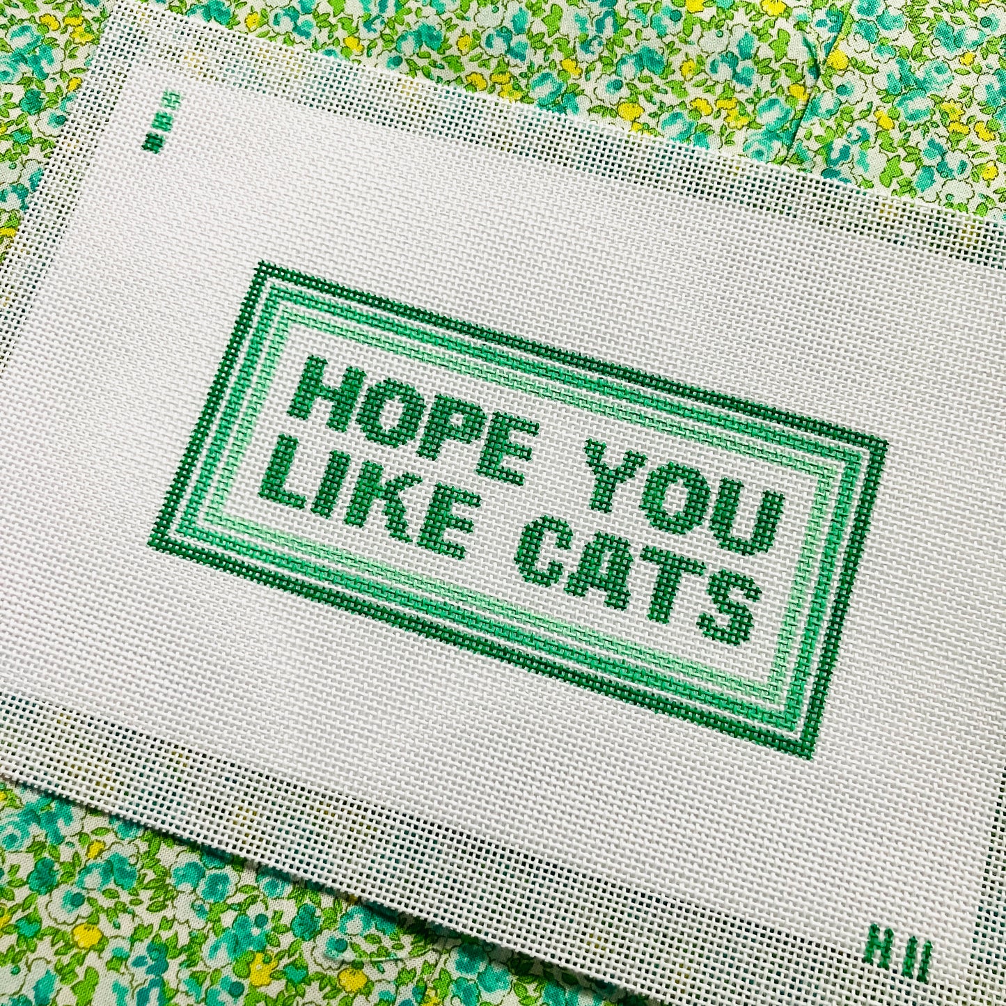 Hope You Like Cats
