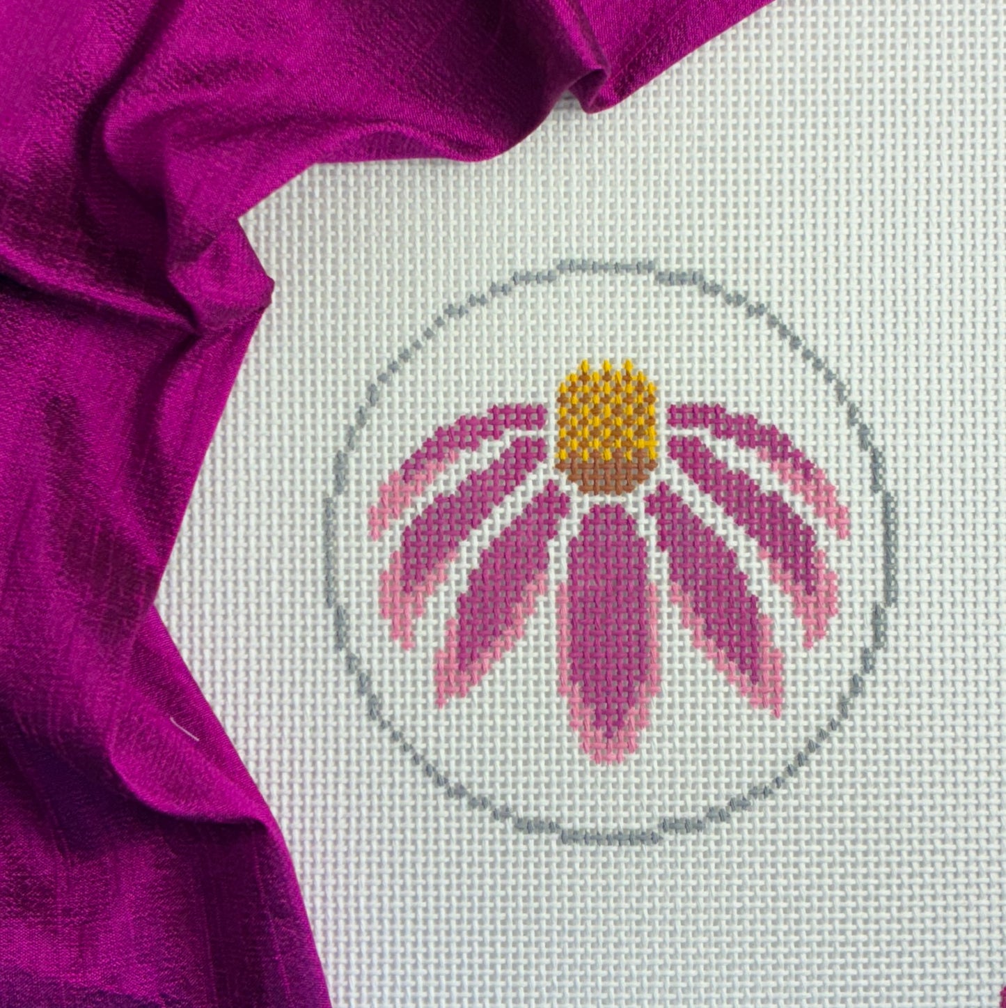 Flower - Coneflower