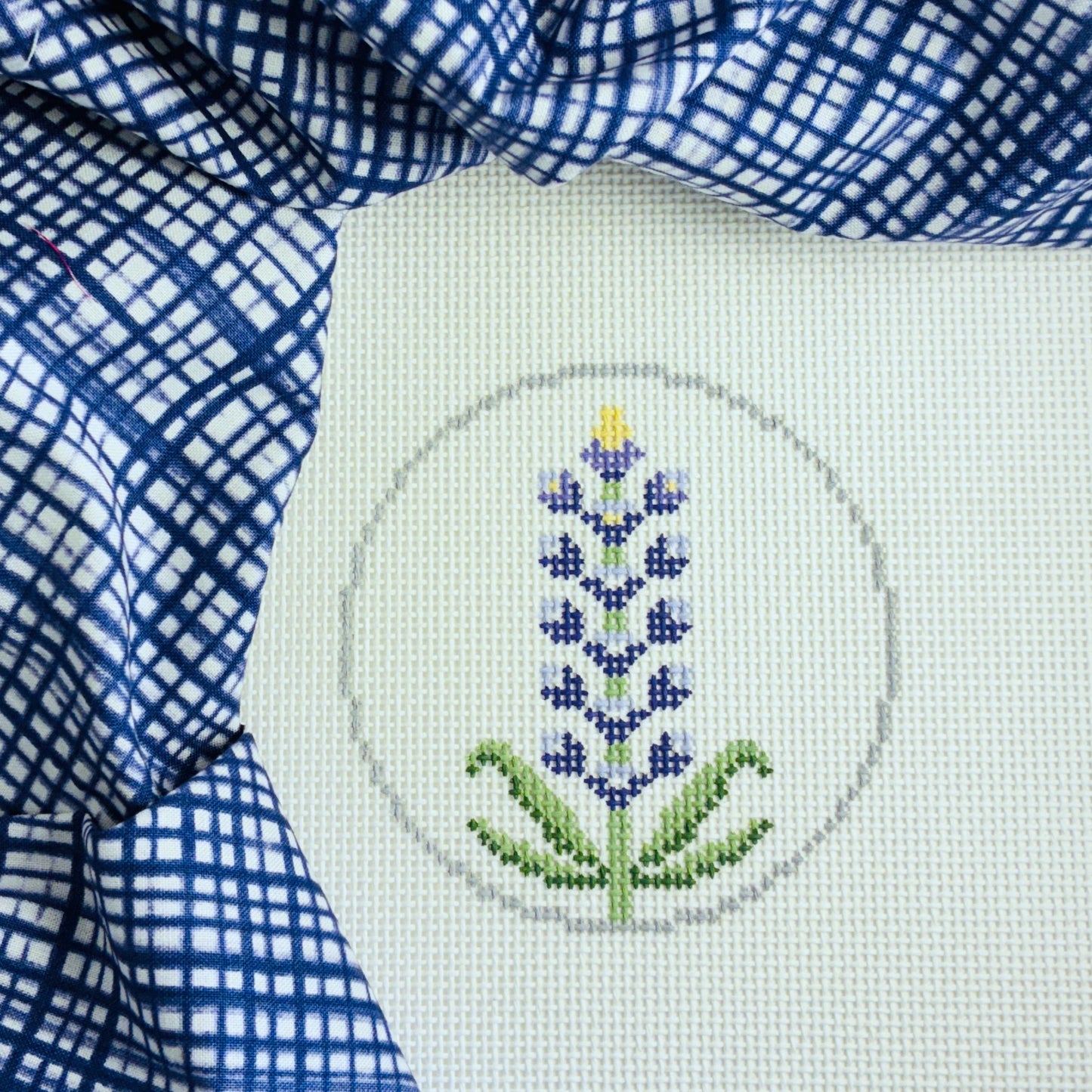 Flower - Bluebonnet
