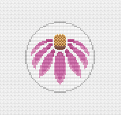 Flower - Coneflower